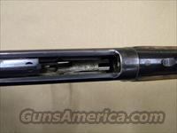 Winchester Model 1894 25-35 W.C.F. Flatband 1943-1948 Img-6