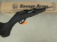 Savage Arms Model A17 22 Black Semi-Auto .17 HMR 47001 Img-10
