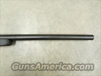 Savage Model 10 Tactical .308 Win with Scope