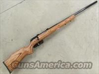 Savage Model 40 24" Bull-Barrel .22 Hornet