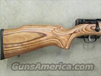 Savage Model 40 24" Bull-Barrel .22 Hornet