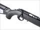 Ruger American Rimfire Rifle .22 LR with Red Fiber Optic 8302