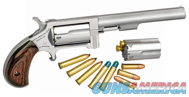 North American Arms Sidewinder .22 Mag / .22 LR 4" SS 5 Rds NAA-SWC-4