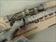Savage Model 93 XP Camo Brush w/ 3-9x40mm Scope .22 WMR 90755