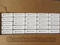 500 ROUNDS FEDERAL XM193F 5.56 NATO 55 GR FMJ-BT Img-3