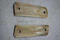 MAMMOTH IVORY 1911
