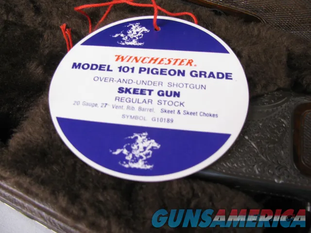 7859 Winchester 101 Pigeon 20 gauge 2 34 chambers,28 inch barrels,  Img-15