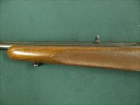 6968 Winchester Model 70 FEATHERWEIGHT 243 cal. 22 inch barrel, Hooded front site, sling swivels, butt plate, mfg 1959 PRE 64, 97-98% condition.all original and in excellent collector condition. Img-4