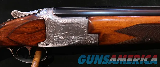 OtherBROWNING OtherFN SP ORDER SUPERPOSED GRADE II POINTER   Img-1