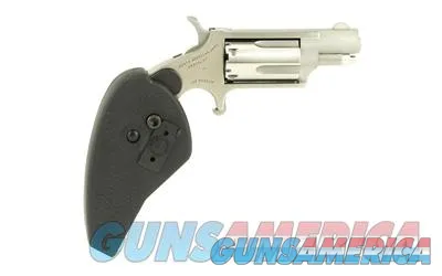 North American Arms NAA-22MS-HG