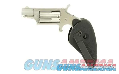 North American Arms NAA-22MS-HG