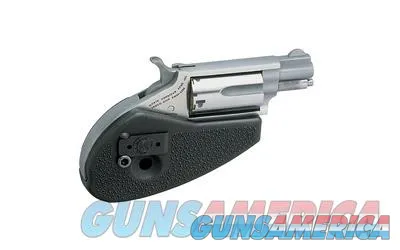 North American Arms NAA-22MS-HG