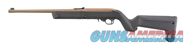 Ruger 10/22 (31124) Takedown