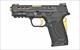 Smith & Wesson M&P9 Shield EZ M2.0 (13228)