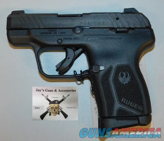 Ruger LCP Max (13716*)