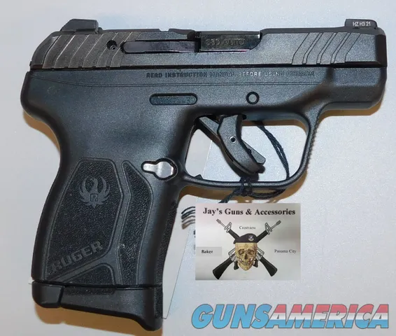 Ruger LCP Max (13716*)