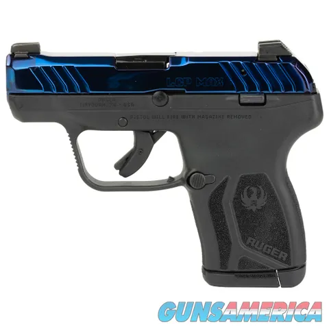 Ruger LCP Max (13739)