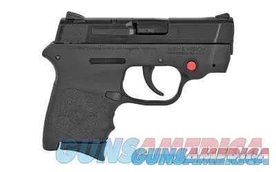 Smith & Wesson M&P Bodyguard 380 (10048)