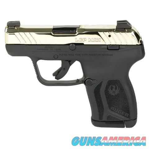 Ruger OtherLCP Max 736676137428 Img-1