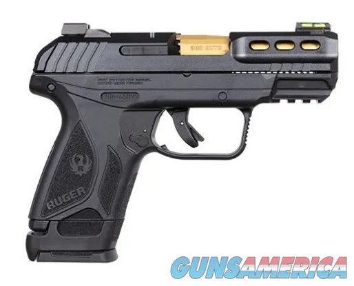 Ruger Security-380 (03856)