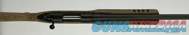 Winchester PT03408YZ35G  Img-5