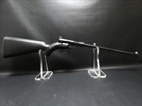 Henry Repeating Arms U.S. Survival