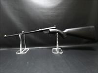 Henry Repeating Arms U.S. Survival