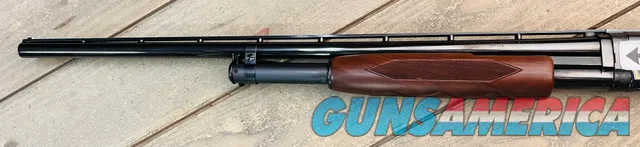 Winchester Other12 - Limited Edition WMT1099 Img-4