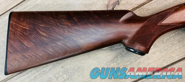 Winchester Other12 - Limited Edition WMT1099 Img-7