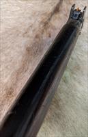 British Enfield (.308)