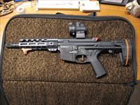 Palmetto State Armory SNEK-15 AR Custom Pistol, .300AAC