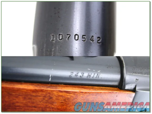 Savage 99E in 243 Win excellent wood!