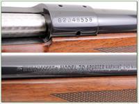 Winchester 70 243 Varmint Sporter near new!