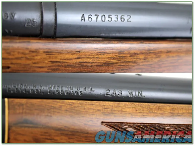 Remington 700 Varmint Special in 243 Win made in 1979 Img-4