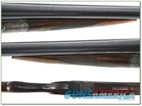 AH Fox Model B 12 Gauge