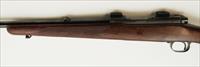 Winchester 70 Feather Weight Pre-64 .30-06 Img-6