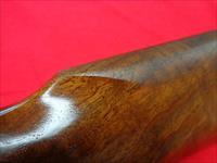 RUGER RED LABEL IN 20 GAUGE