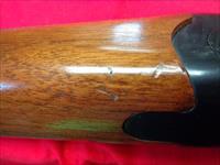 RUGER RED LABEL IN 20 GAUGE