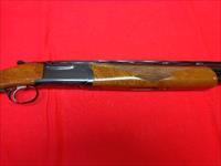 RUGER RED LABEL IN 20 GAUGE