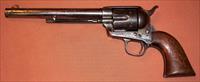 Colt   Img-23