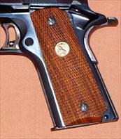 Colt   Img-18