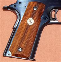 Colt   Img-21