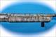 Browning Maxus 12 Ga. Semi Auto Shotgun Realtree Timber **New**