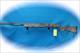 Browning Maxus 12 Ga. Semi Auto Shotgun Realtree Timber **New**