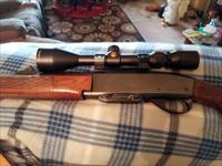 Remington 742 wood master 243 cal.