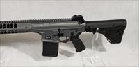 LWRC REPR / CSASS Rifle Limited Edition Rare 1 of 250 TALO Tactical Gray Img-3
