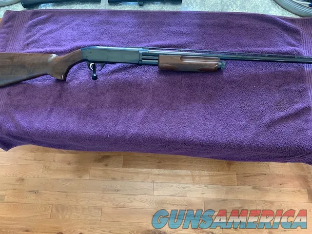 Browning BPS 20 Gauge