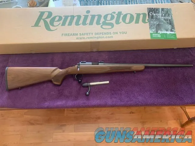 Remington 504 22LR 