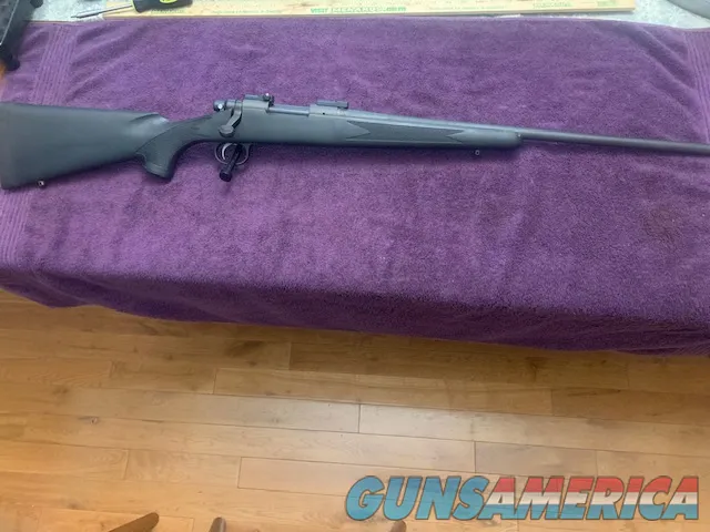 Remington 700 223