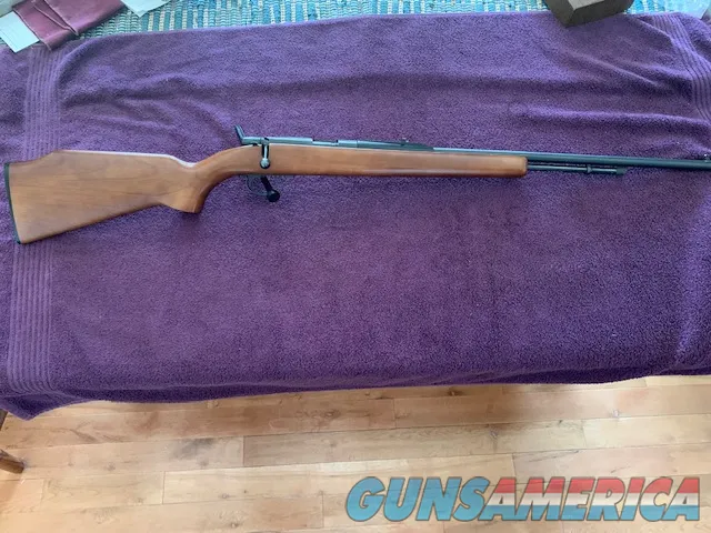 Remington 582 22 LR 